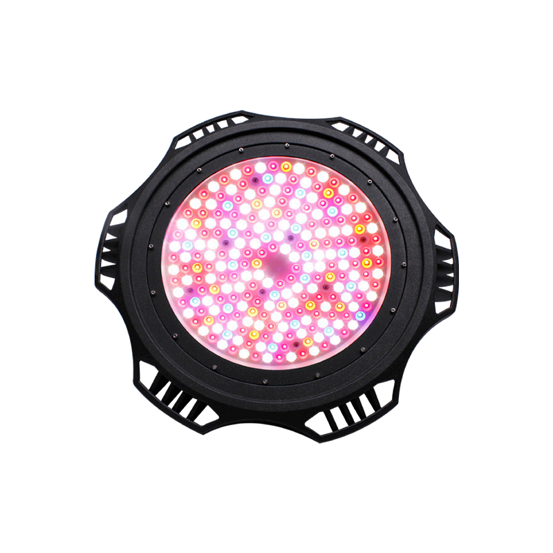 নেতৃত্বে হাই বে - ইউএফও নেতৃত্বে হাই বে - ইউএফও