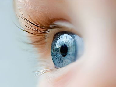 জিন গুয়াং ইউয়ান (নিউ লাইট) আলোক প্রযুক্তি কোং, লিমিটেড