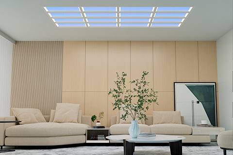 জিন গুয়াং ইউয়ান (নিউ লাইট) আলোক প্রযুক্তি কোং, লিমিটেড